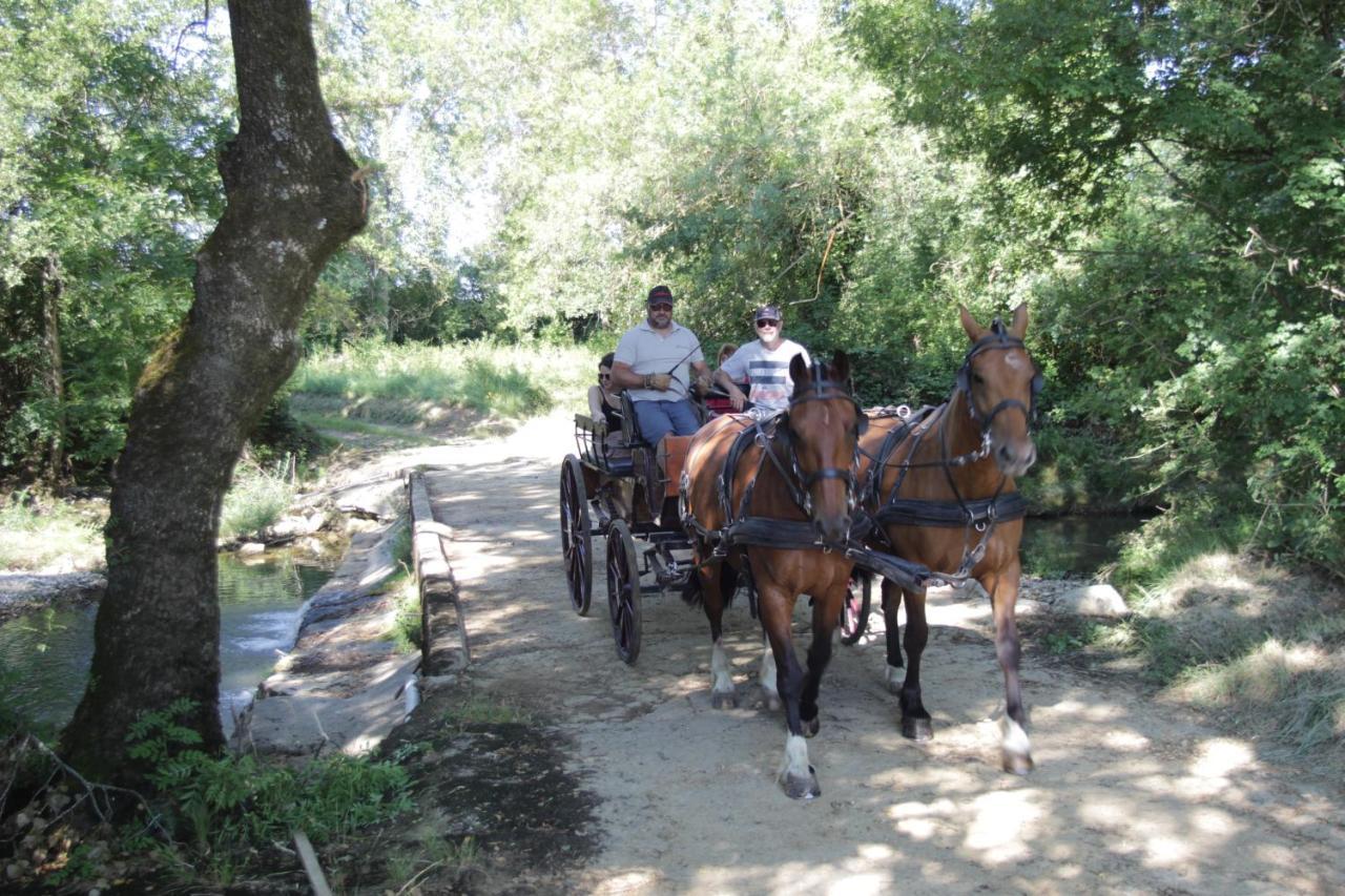 Le Mas De La Coste Saint-Sauveur-de-Cruzière Bagian luar foto