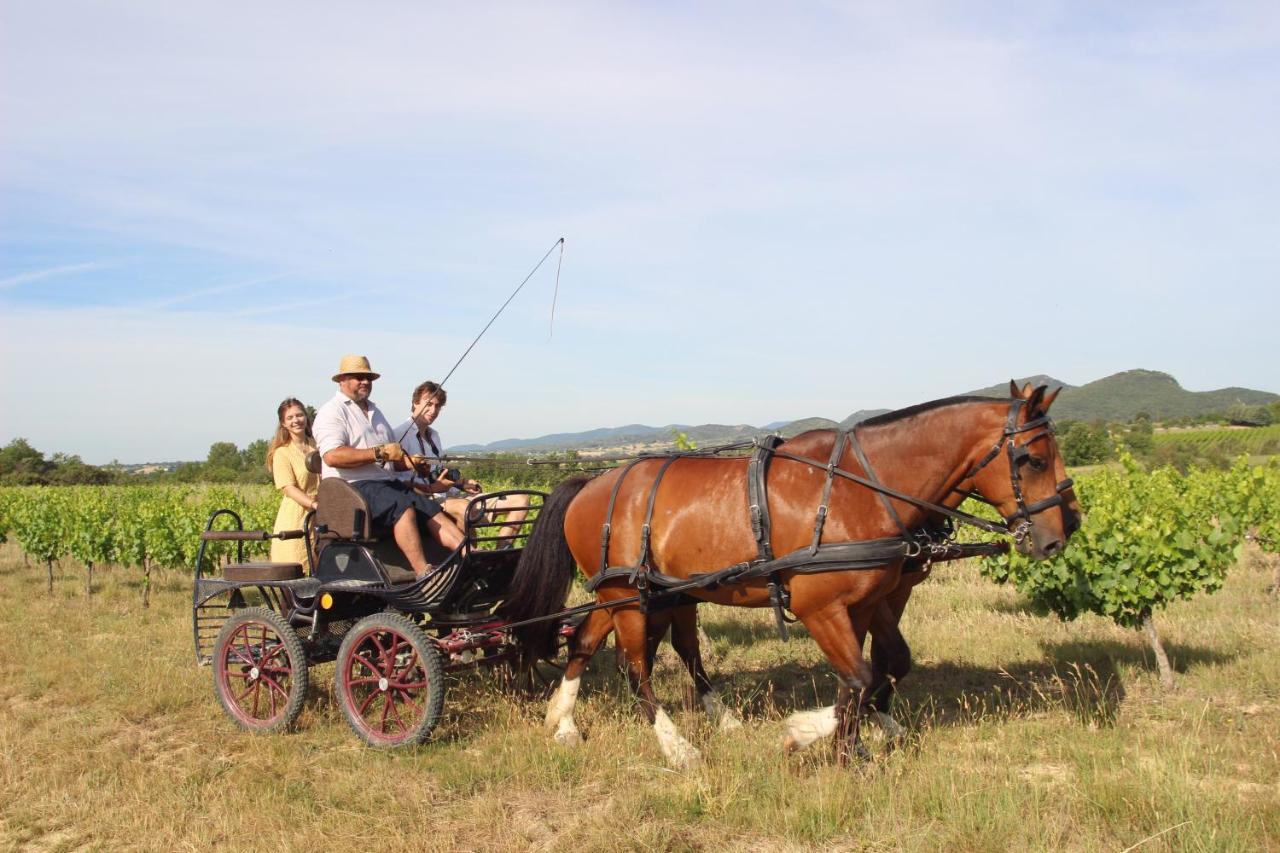 Le Mas De La Coste Saint-Sauveur-de-Cruzière Bagian luar foto